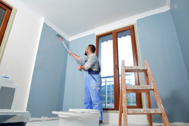 Mold Odor Removal Services in Eaton, IN