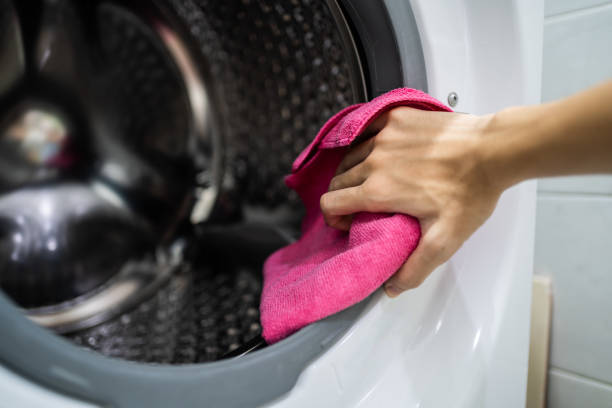 Best Mold Damage Restoration  in Eaton, IN