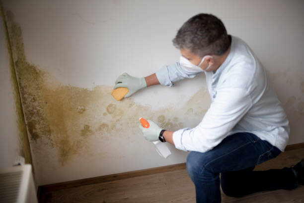 Best Indoor Air Quality Assessment  in Eaton, IN