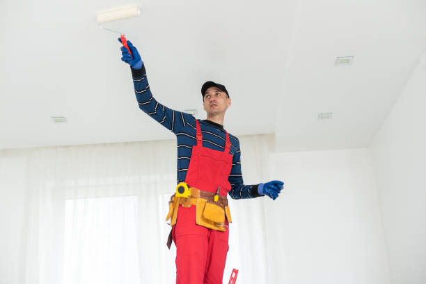 Trusted Eaton, IN Mold Removal Experts