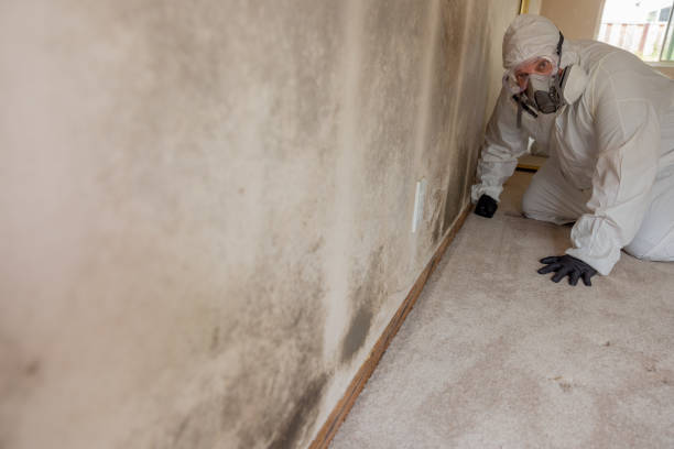 Best Commercial Mold Inspection  in Eaton, IN