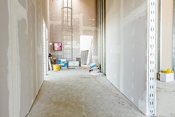 Best Attic Mold Removal  in Eaton, IN