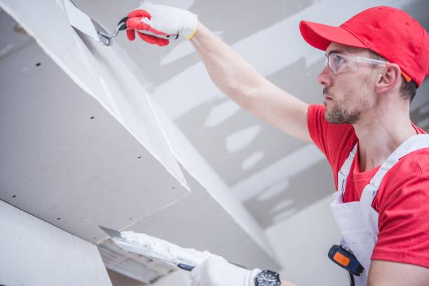 Best Crawl Space Mold Remediation  in Eaton, IN